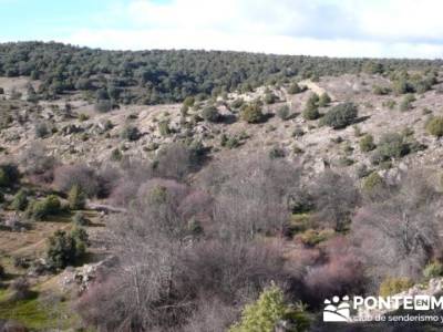 Puentes del Río Manzanares;senderismo iniciación;grupos pequeños